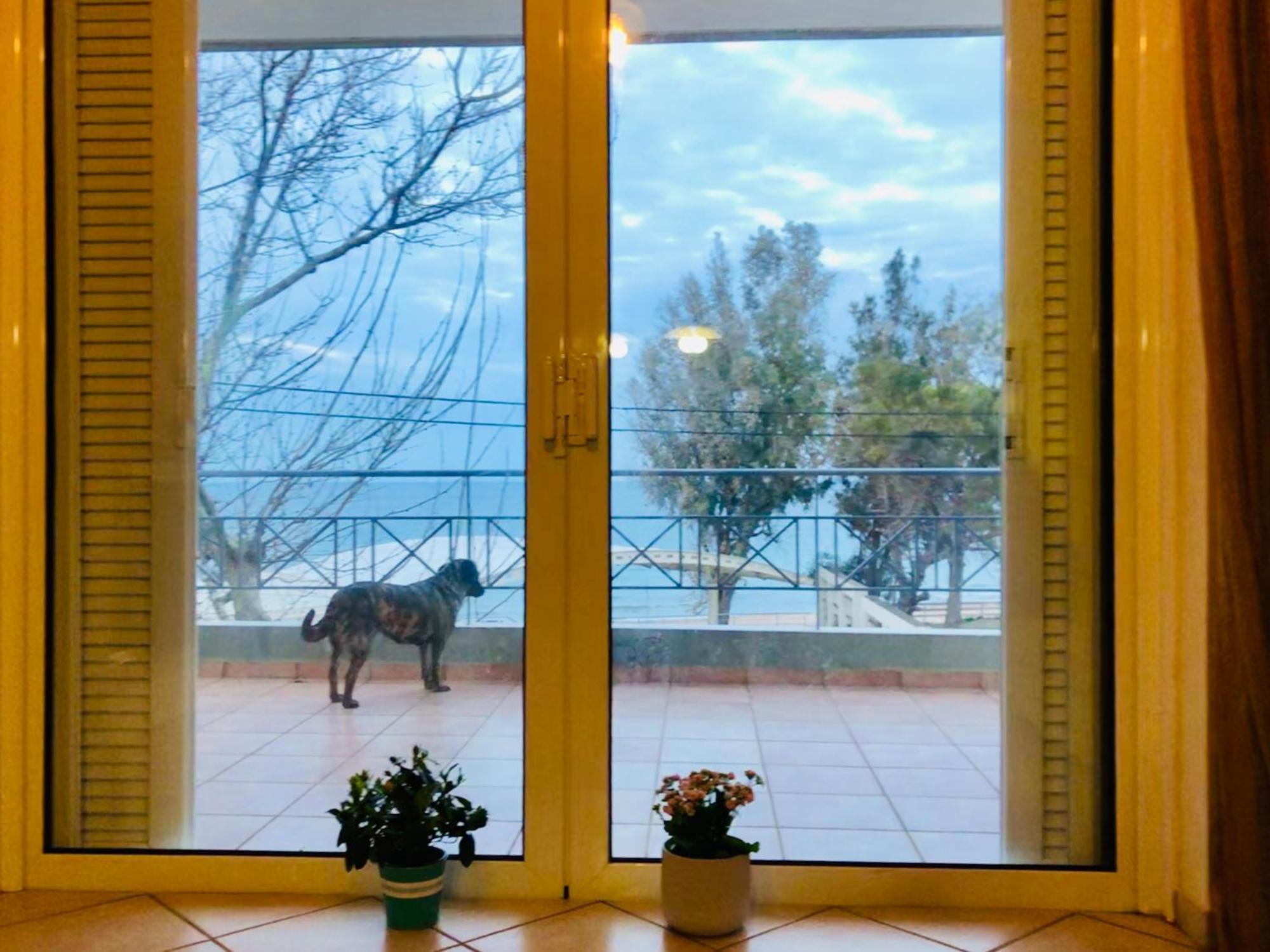 Chloe'S Sunrise Beach House Villa Athens Ngoại thất bức ảnh